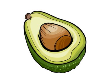 Yarı kesik avokado izole vektör çizimi