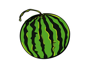 Karpuz vektörü. Sağlıklı meyve çizgisi sanatı izole edilmiş