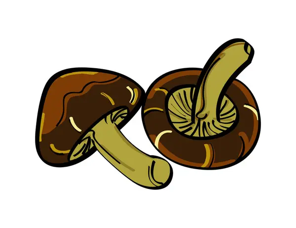 Mantar ikonu. İki kahverengi renkli mantar vektör çizimi