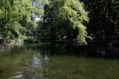 Alçak bir açıdan çekilmiş sakin bir gölet sahnesi. Çerçeveye tam güneş ışığında uzanan bir dal var. Güneş ışığı karşı kıyıyı da aydınlatırken gölgeler göleti kaplayarak kısmen küçük kemerli bir köprüyü gizliyor..