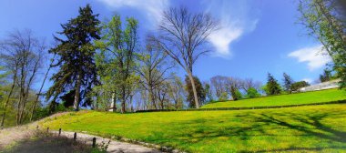 İlkbaharda bir park manzarası