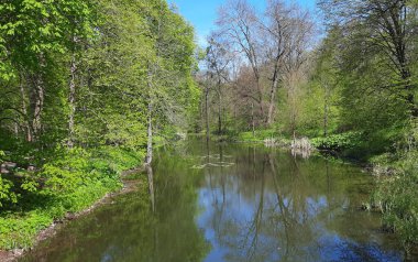 göl ve ağaçlar ile bahar manzara