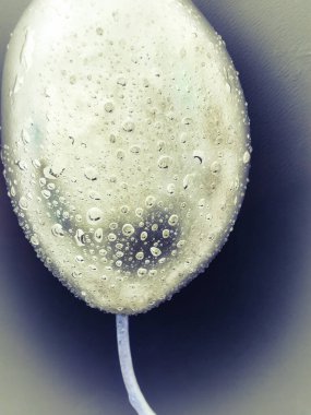 Siyah arkaplanda su damlası