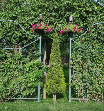 Bitkileri olan güzel bir bahçe.