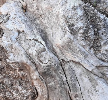 Doğal desenli ahşap doku