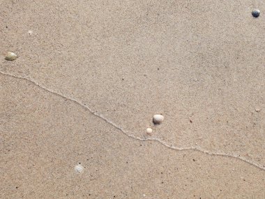 Islak deniz kumlarında dalga ve kabuk izleri var.