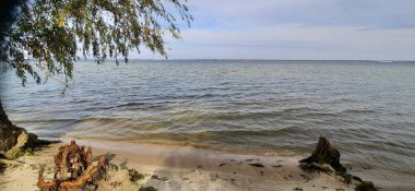 güzel bir nehir manzarası 