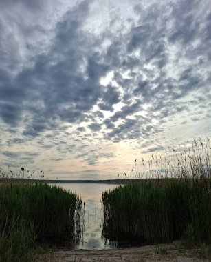 Nehrin üzerinde gün batımı. Nehir manzarası büyüyen sazlıklar ve batan güneşin yüzeyindeki bulutlar.