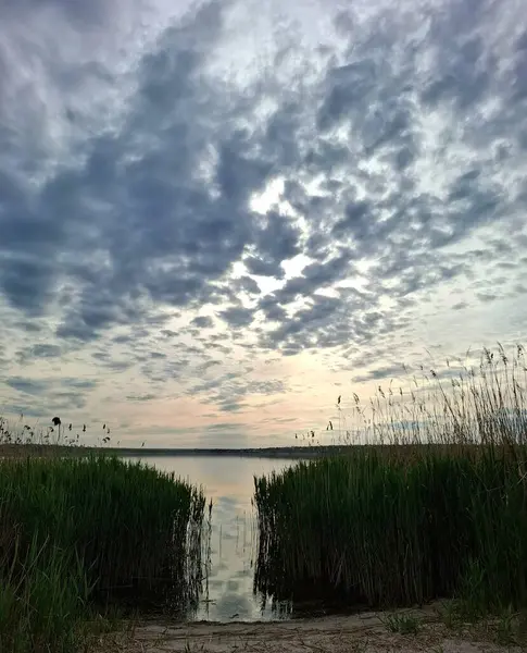 Nehrin üzerinde gün batımı. Nehir manzarası büyüyen sazlıklar ve batan güneşin yüzeyindeki bulutlar.