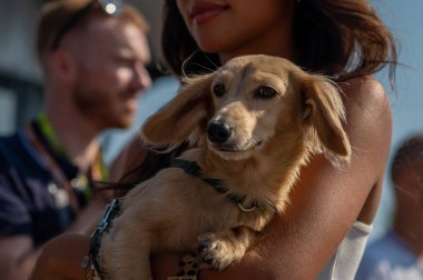 İtalyan GP F1 2024, 30 Ağustos 2024, Monza, İtalya - Formula 1 Franco Colapinto sürücüsü Williams