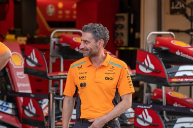 Abu Dabi GP F1 2024, 5 Aralık 2024, Yas Marina, Abu Dabi - Formula 1 Andrea Stella McLaren