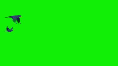 2d sürü kuşlar yatay uçan gökyüzü 4k yeşil ekran animasyonu