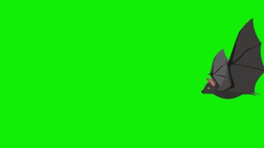 2d uçan yarasa gökyüzü yan görünümü, dikdörtgen ekran animasyonu 4k