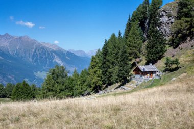 Bormio yakınlarındaki Valtellina otlaklarında dağ kulübeleri fotoğraflandı.