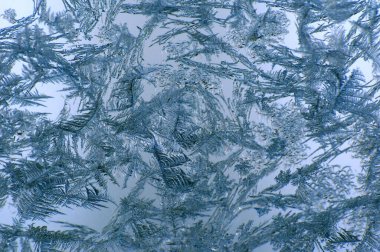 Güzel doğa görüntüsü, doğal duvar kâğıdı, sert kış soğuğunun oluşturduğu cam tabakadaki 