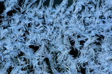 Güzel doğa görüntüsü, doğal duvar kâğıdı, sert kış soğuğunun oluşturduğu cam tabakadaki 