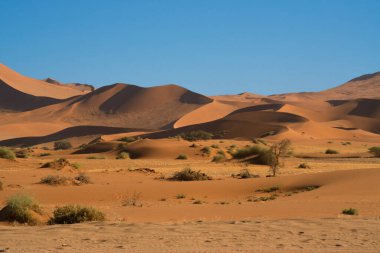 Namibya 'daki Deadvlei Çölü' nde kırmızı kum tepeleri ve bazı ağaçlarla güzel bir manzara.