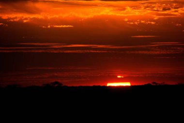 Dramatik kırmızı gökyüzü ve ufukta kaybolan yakıcı güneşle muhteşem bir gün batımı. Namibya bozkırında gizlenmiş bulutlar.