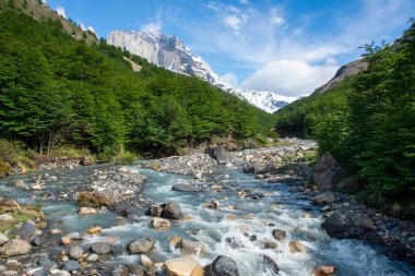 Mavi buzul nehri, Torres del Paine Ulusal Parkı 'nın kar kaplı yığınının tabanındaki yeşil ormanların içinden akar.