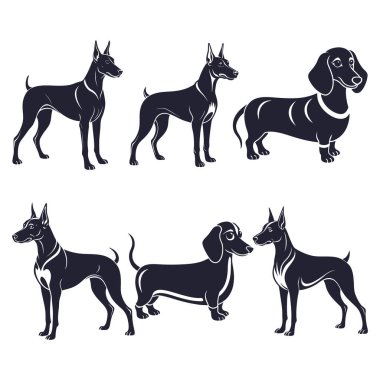 Farklı komik köpekler beyaz arka planda soyutlanır.