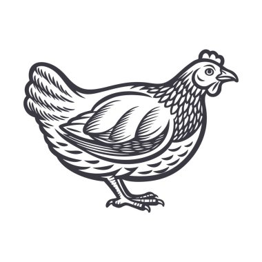 Hen icon vector illustration clipart