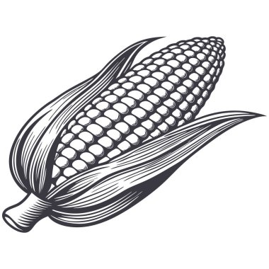 mısır simgesi vektör illüstrasyonu