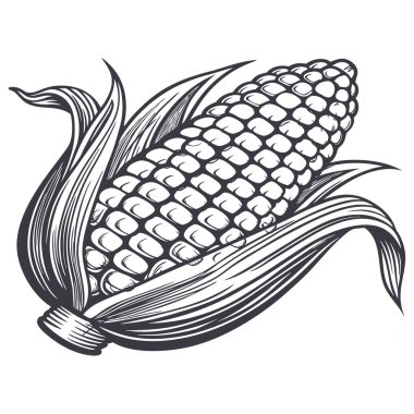 mısır simgesi vektör illüstrasyonu