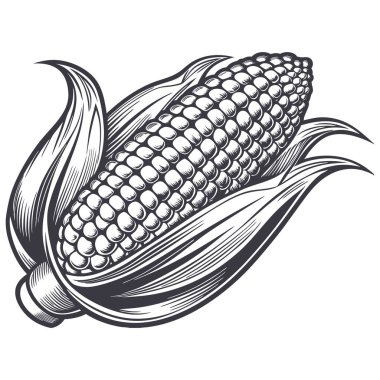 mısır simgesi vektör illüstrasyonu