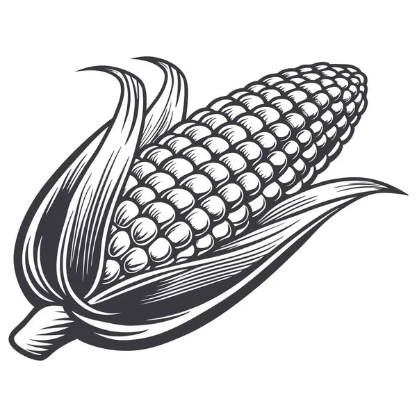 mısır simgesi vektör illüstrasyonu