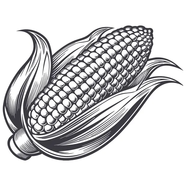 mısır simgesi vektör illüstrasyonu