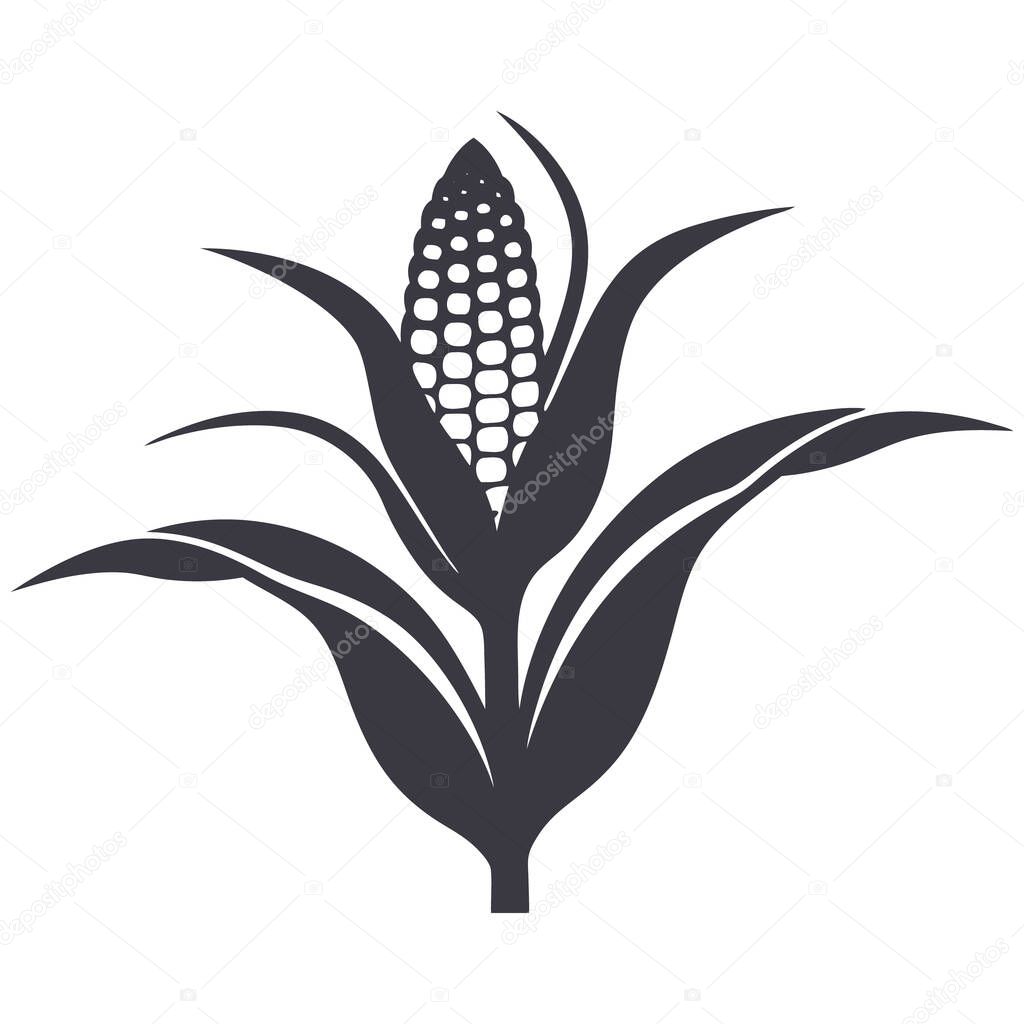 Corn icon vector illustration