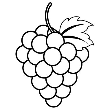 Yaprak izole vektör tasarımı olan üzümler