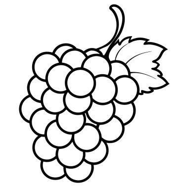 üzüm meyvesi taze ikon vektör çizimi tasarımı