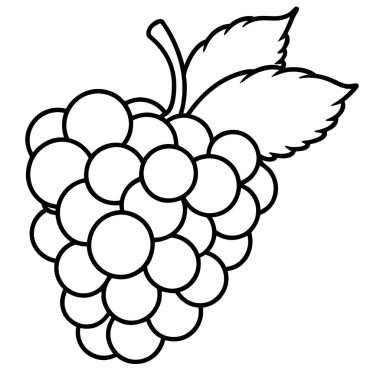 Üzüm meyve vektör illüstrasyon