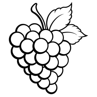 üzümler taze ikon vektör çizimi tasarımı