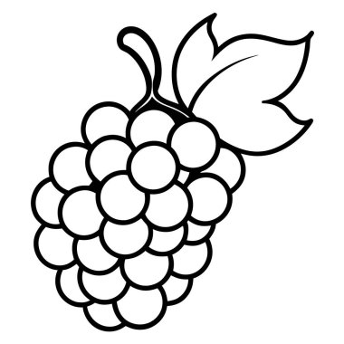 taze üzümler izole edilmiş meyve simgesi