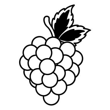 Bir demet üzümün izole edilmiş ana hatları