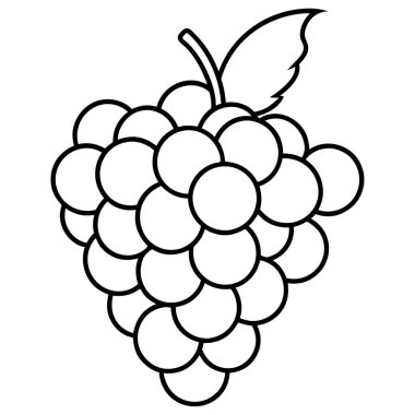 üzümler taze ikon vektör çizimi tasarımı