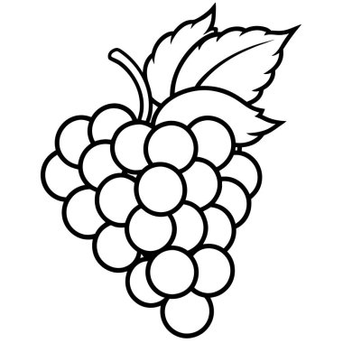 Beyaz arkaplanda izole edilmiş vektör ahududu simgesi