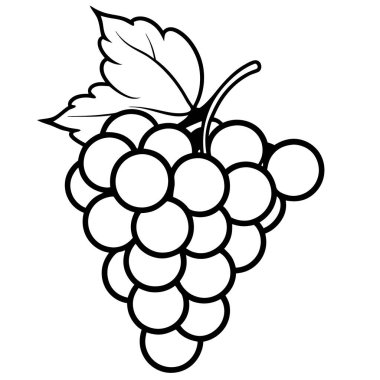 Taze üzümler sağlıklı besin vektörü çizimi