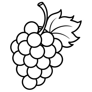 taze meyve sağlıklı ve organik meyve