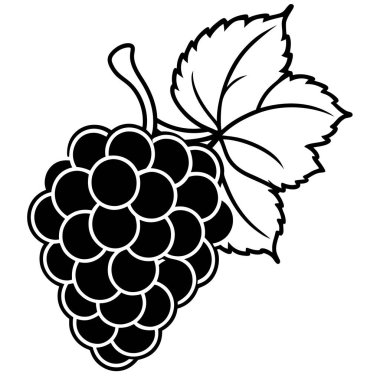 Üzümler sağlıklı ve organik gıda vektörü çizimi
