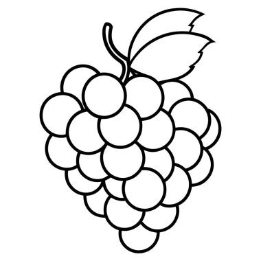 taze üzümler meyve izole edilmiş ikon vektör illüstrasyon tasarımı