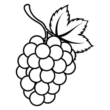 Yapraklı taze üzümler vektör çizim tasarımı