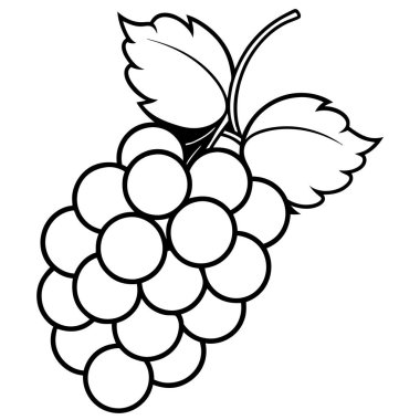 Üzümler taze yiyecek izole edilmiş ikon vektör illüstrasyon tasarımı