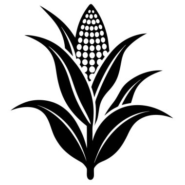 Mısır vektör simgesi. Siyah vektör simgesi beyaz arkaplanda izole edildi