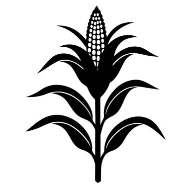 mısır bitkisi siluet vektörü