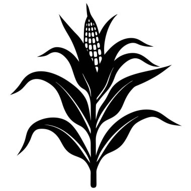 siyah mısır silueti