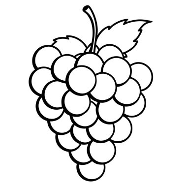 Yaprakları dökülmüş taze üzümler