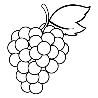 vektör üzüm meyvesi